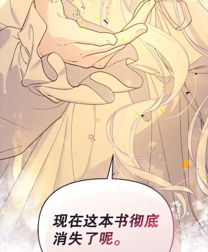 漫画《林德尔又出什么事了？》70.烧毁手册第101张图