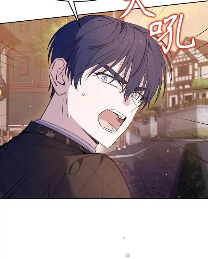 漫画《林德尔又出什么事了？》70.烧毁手册第26张图