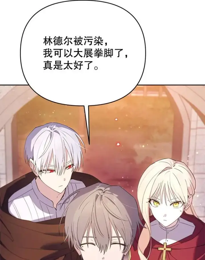 漫画《林德尔又出什么事了？》70.烧毁手册第43张图