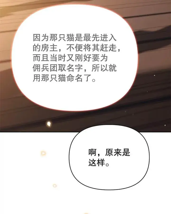 漫画《林德尔又出什么事了？》80.白猫佣兵团第106张图