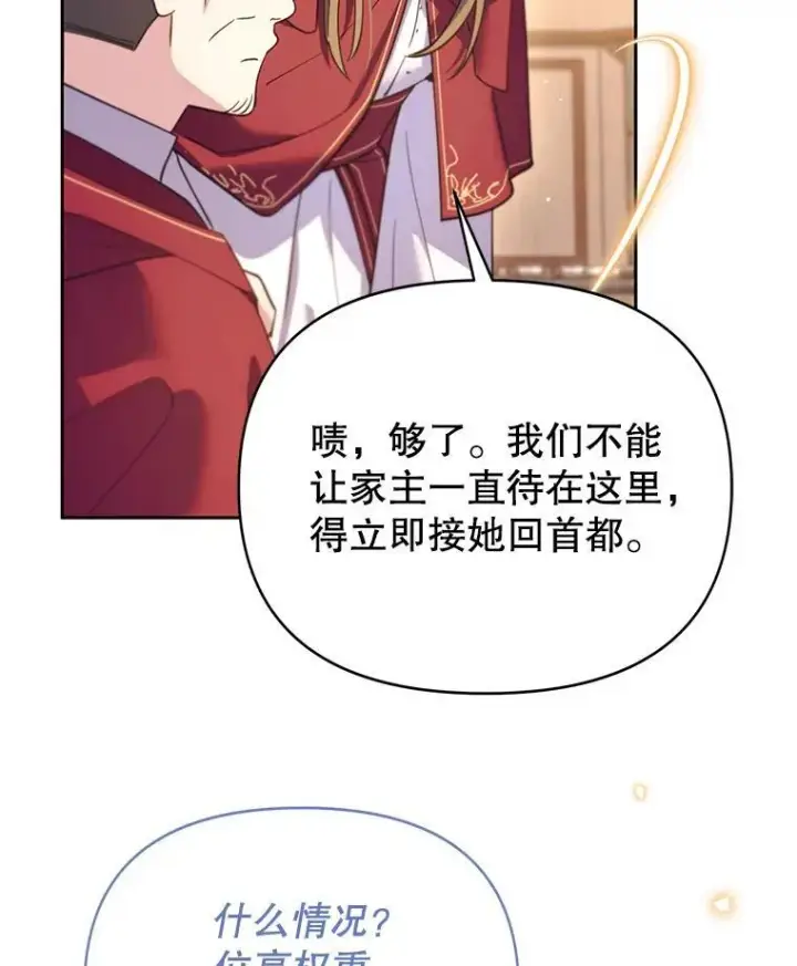 漫画《林德尔又出什么事了？》80.白猫佣兵团第43张图