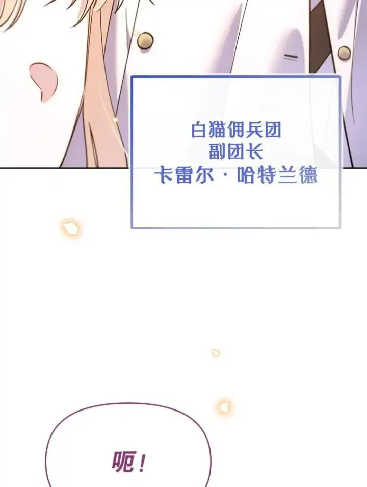 漫画《林德尔又出什么事了？》80.白猫佣兵团第53张图