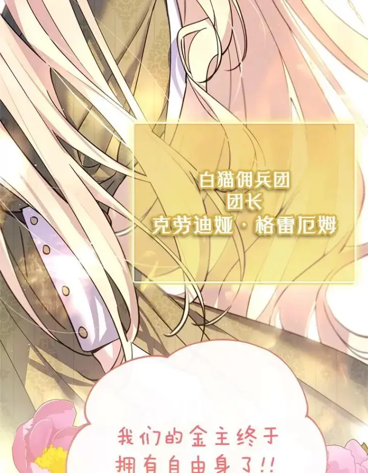 漫画《林德尔又出什么事了？》80.白猫佣兵团第75张图