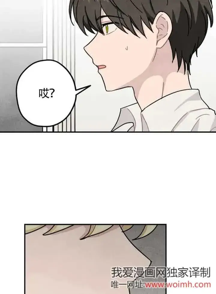 漫画《灵药魔女》第64话第66张图
