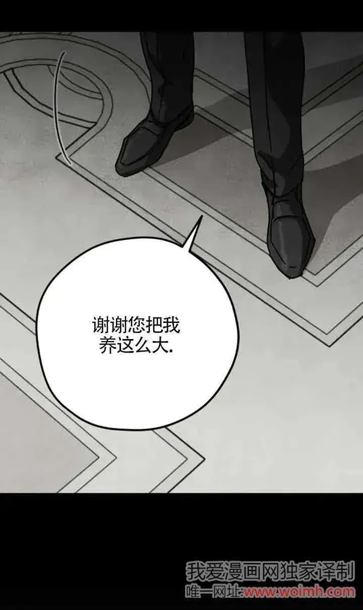漫画《灵药魔女》第72话第41张图