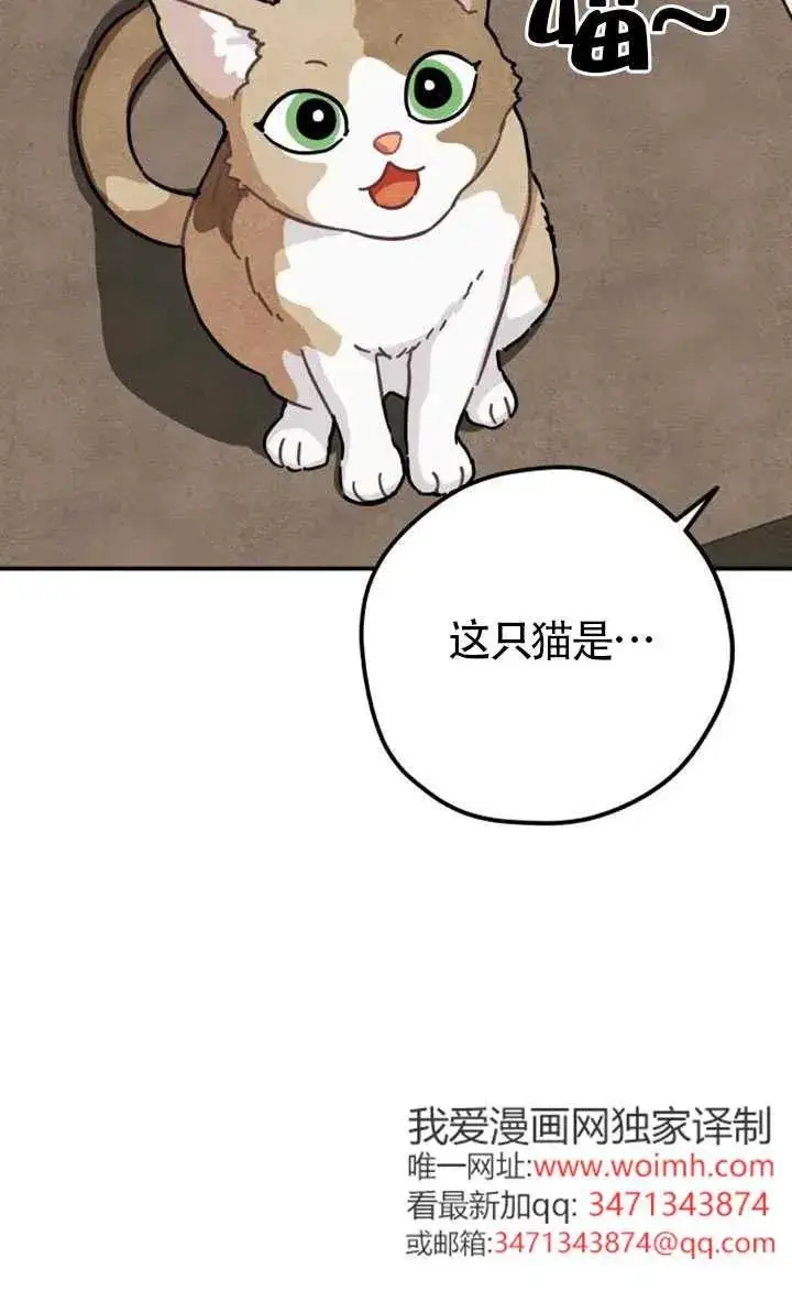 漫画《灵药魔女》第85话第4张图