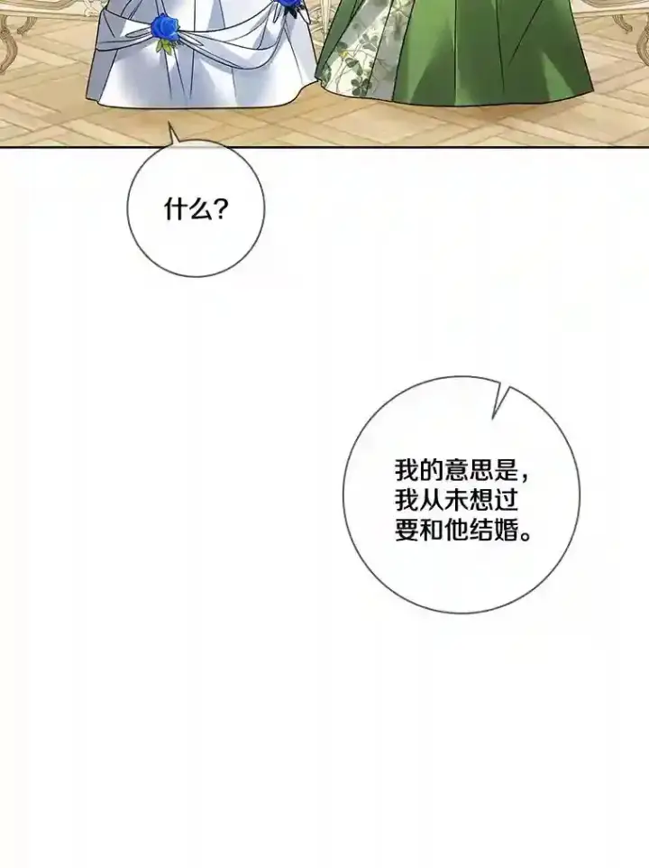 漫画《龙套大公子妃的花路人生》27.手绢第28张图