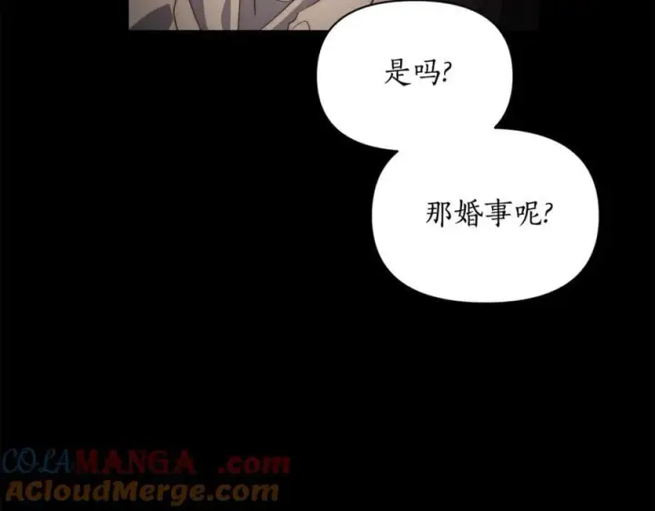 漫画《露西亚-攻略公爵计划》第165话 姐姐第105张图