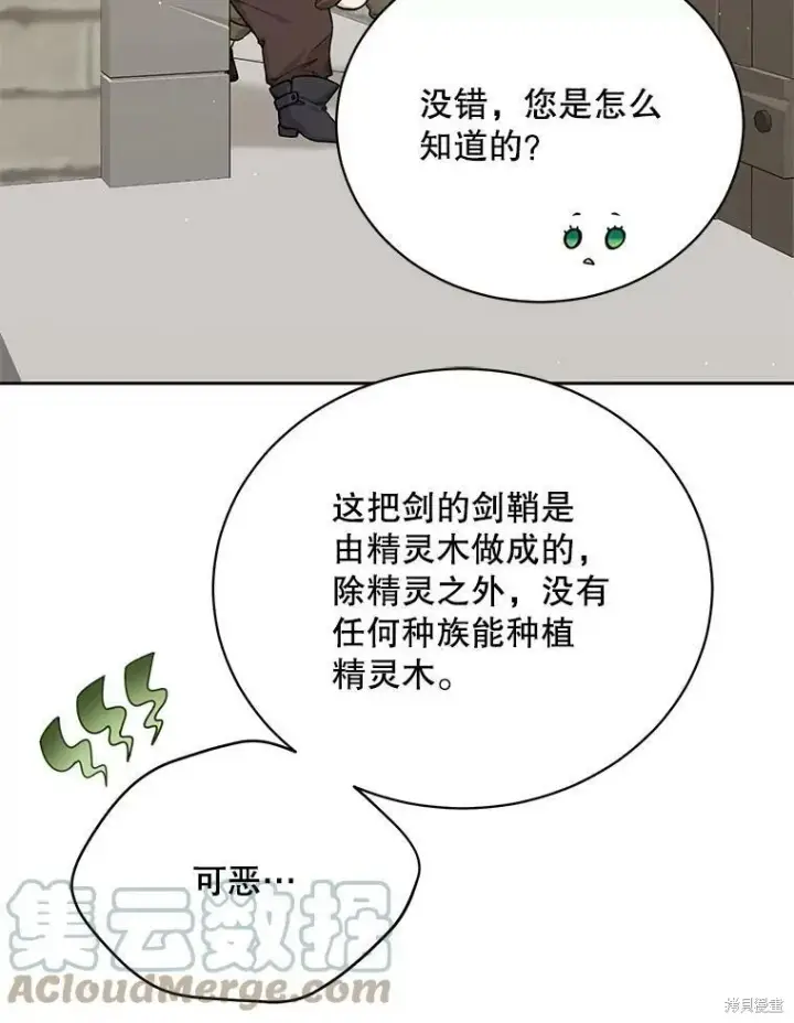 漫画《绿荫之冠》第76话第37张图