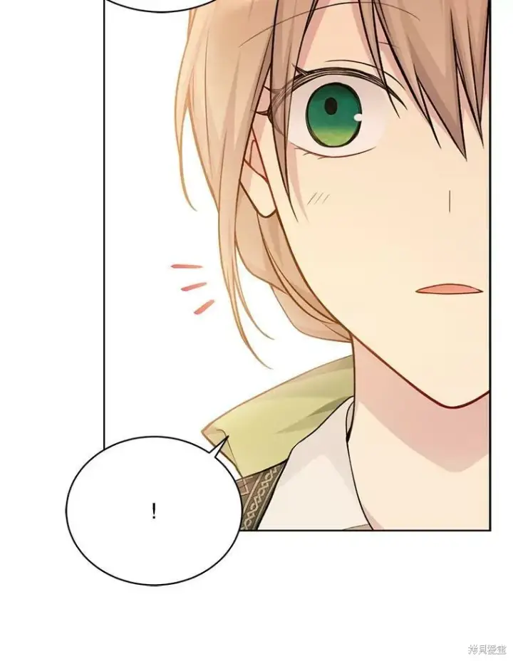 漫画《绿荫之冠》第76话第67张图