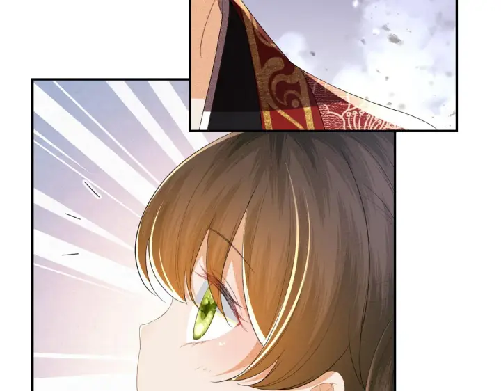 漫画《满级绿茶穿成小可怜》第61话 能否打动太后呢？第54张图