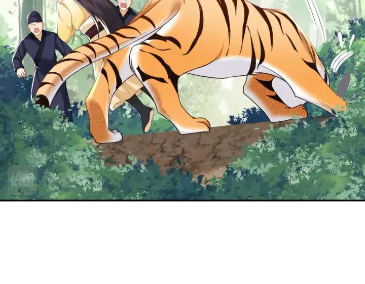 漫画《满级绿茶穿成小可怜》第70话 老虎袭击第42张图