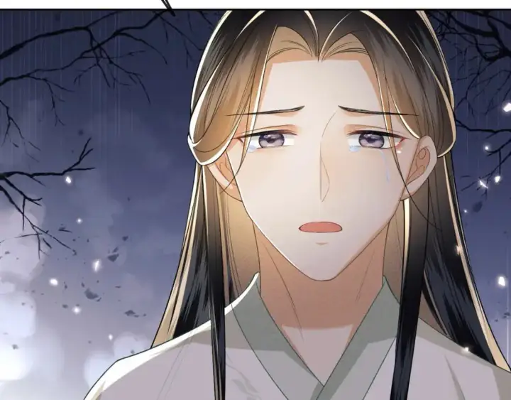 漫画《满级绿茶穿成小可怜》第93话 和大皇兄的约定第14张图