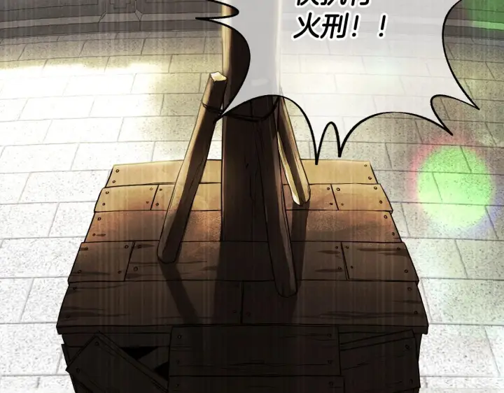 漫画《冒牌圣女等待离场》第1话 烧死冒牌货第18张图
