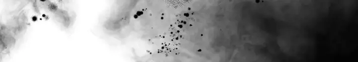漫画《冒牌圣女等待离场》第1话 烧死冒牌货第213张图