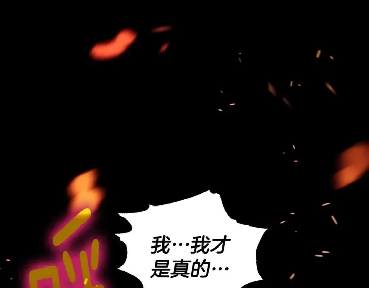 漫画《冒牌圣女等待离场》第1话 烧死冒牌货第246张图