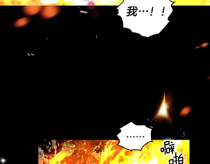 漫画《冒牌圣女等待离场》第1话 烧死冒牌货第248张图