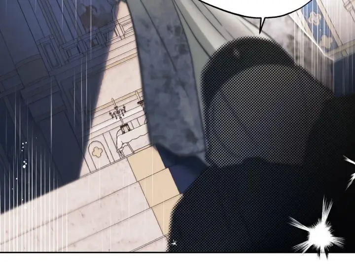 漫画《冒牌圣女等待离场》第1话 烧死冒牌货第60张图