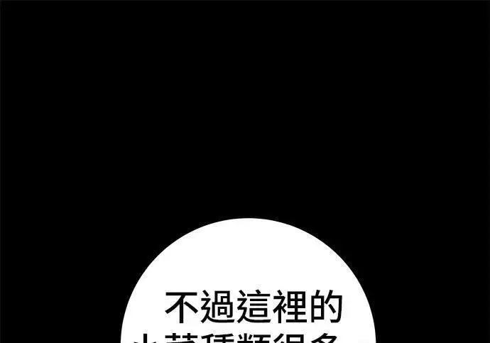 漫画《米虫的一日三餐》第267话 水果沙拉第169张图
