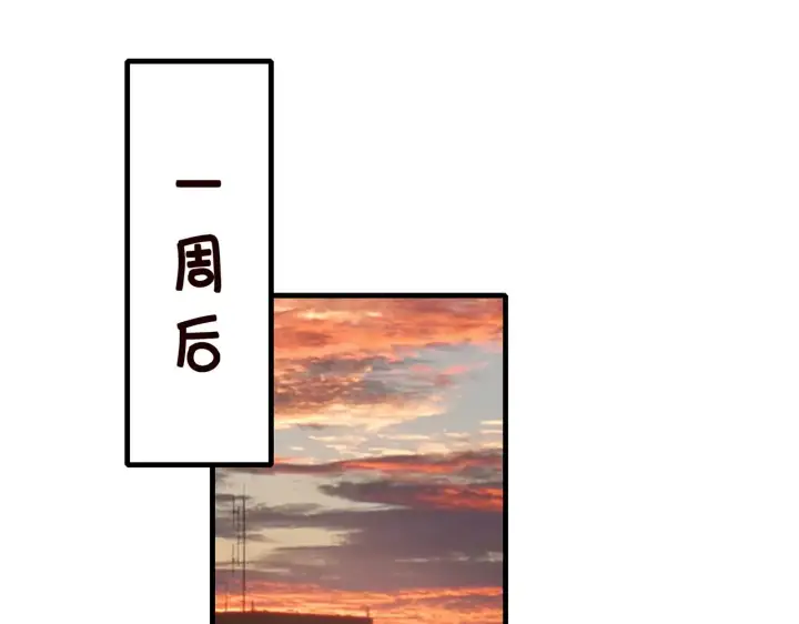 漫画《名门挚爱》第269 可可，对不起第45张图
