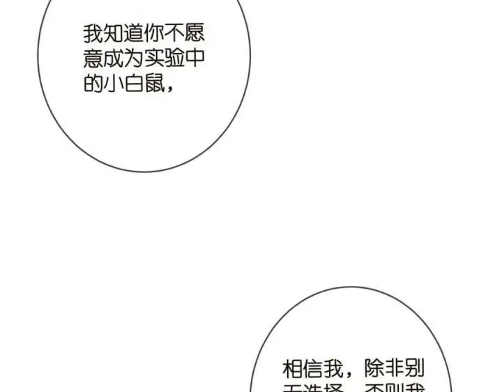 漫画《名门挚爱》第477 飞鹰的秘密第24张图