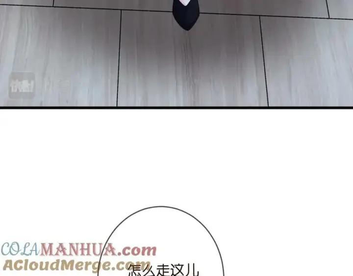 漫画《名门挚爱》第478 下跪第25张图