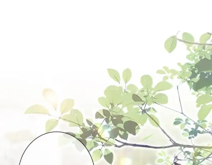 漫画《名门挚爱》第483 豪门秘辛第4张图