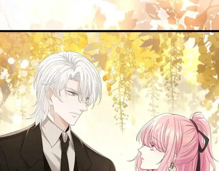 漫画《名门挚爱》第489 丧礼第64张图