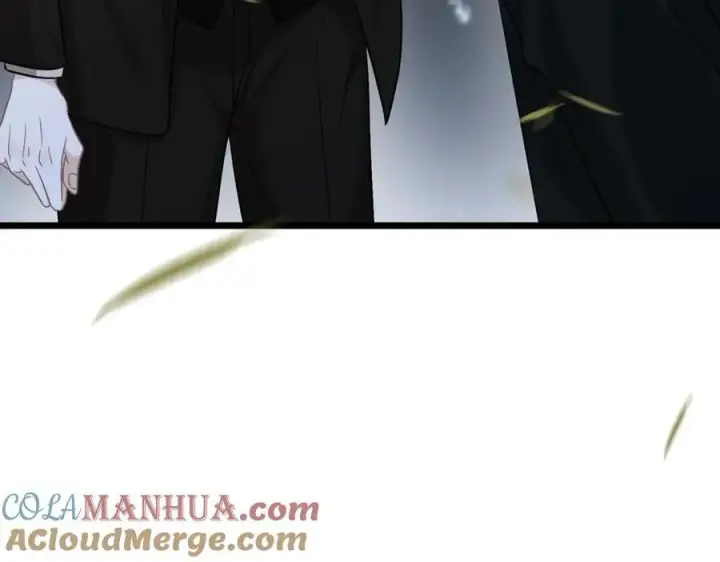 漫画《名门挚爱》第492 白桦的忠心第37张图