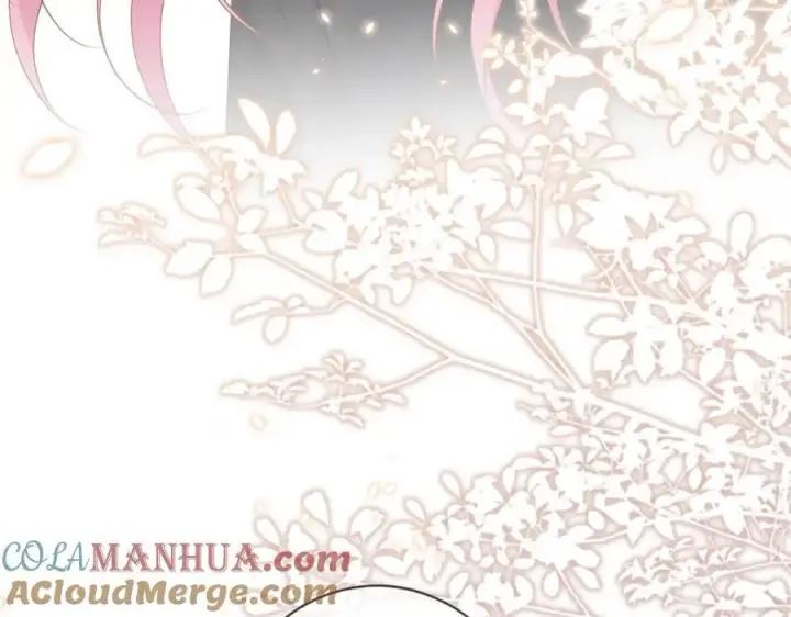 漫画《名门挚爱》第492 白桦的忠心第65张图
