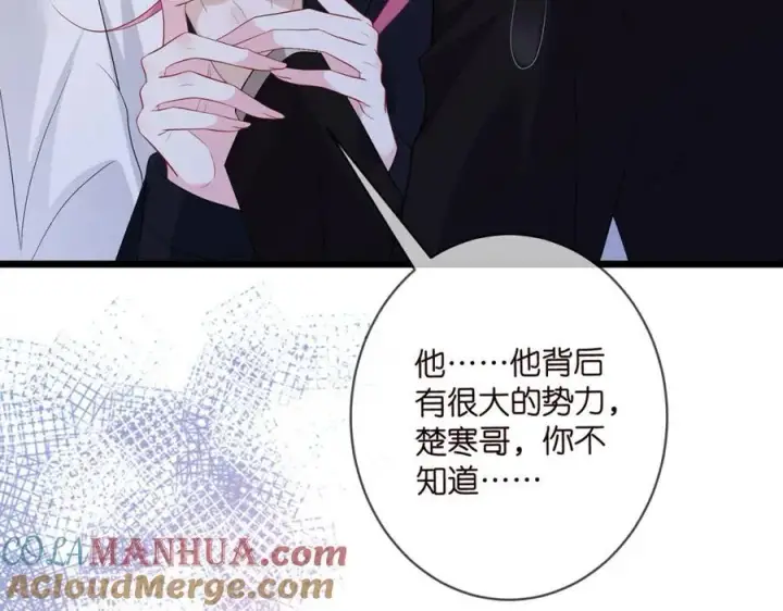 漫画《名门挚爱》第492 白桦的忠心第9张图