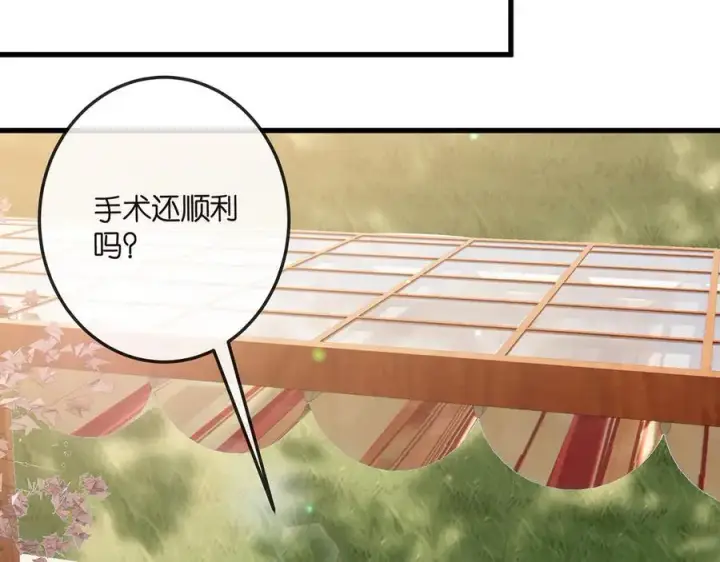 漫画《名门挚爱》第518话 那个男人为她妥协了第64张图