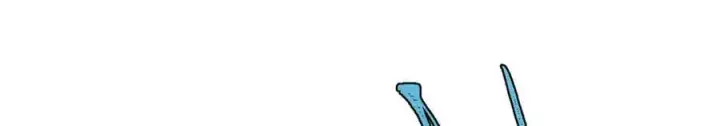 漫画《万古最强宗》330 帝兽最强伪装第72张图