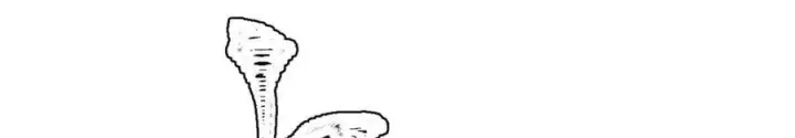 漫画《万古最强宗》332 守护背后的人第132张图