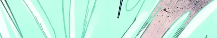 漫画《万古最强宗》394 你已经是一台成熟的挖掘机了第68张图