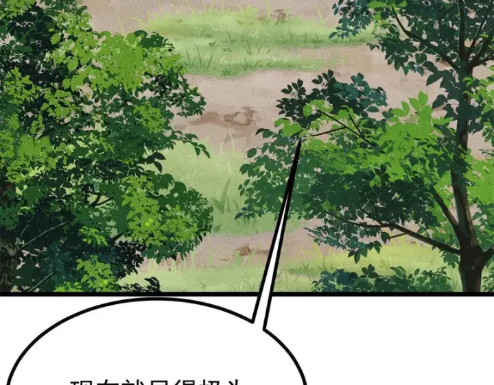 漫画《万古最强宗》480 明知山有虎第77张图