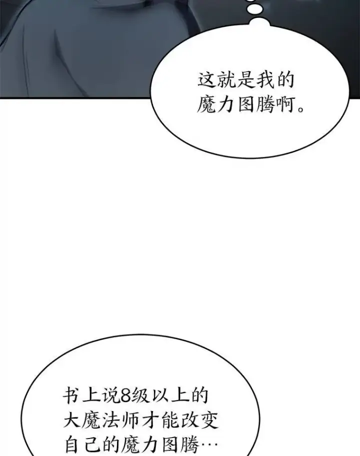 漫画《没药根本撑不住的魔法师》7.魔力图腾第53张图