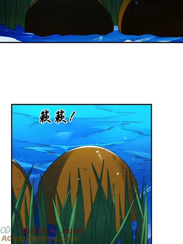 漫画《女徒弟个个想杀我》第249话 什么？要联姻？！第19张图
