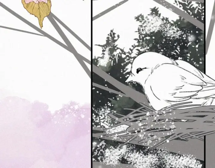 漫画《偏偏宠爱》第189话 她来做我媳妇第68张图