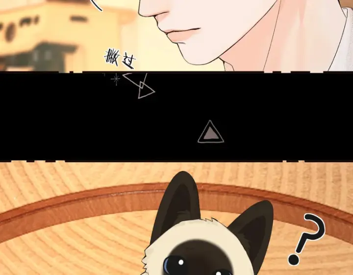 漫画《请多关照》042 这里还没擦第116张图