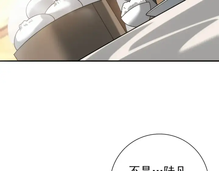 漫画《全民转职：驭龙师是最弱职业？》第67话 礼宾国宴第133张图