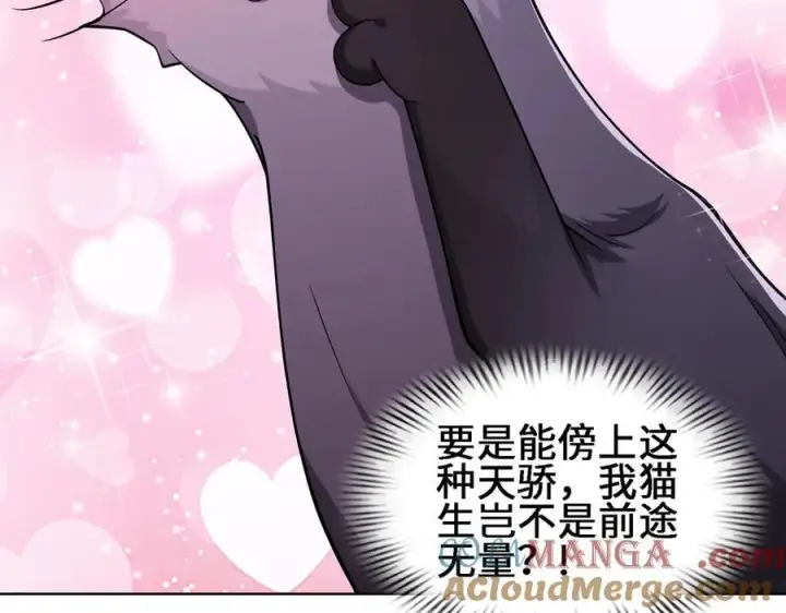 漫画《全知修仙者》27应兆猫第41张图