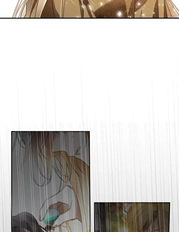 漫画《如何隐藏皇帝的孩子》2.他是谁？第71张图