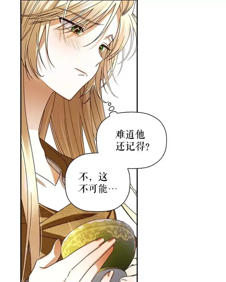 漫画《如何隐藏皇帝的孩子》3.见面的目的第56张图