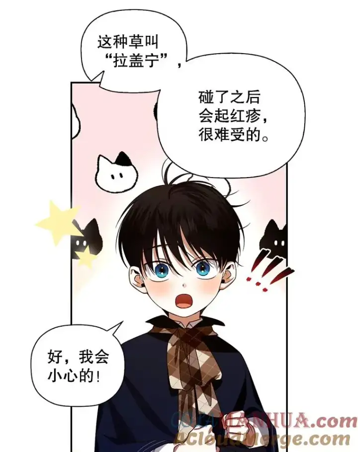漫画《如何隐藏皇帝的孩子》6.闲言碎语第40张图