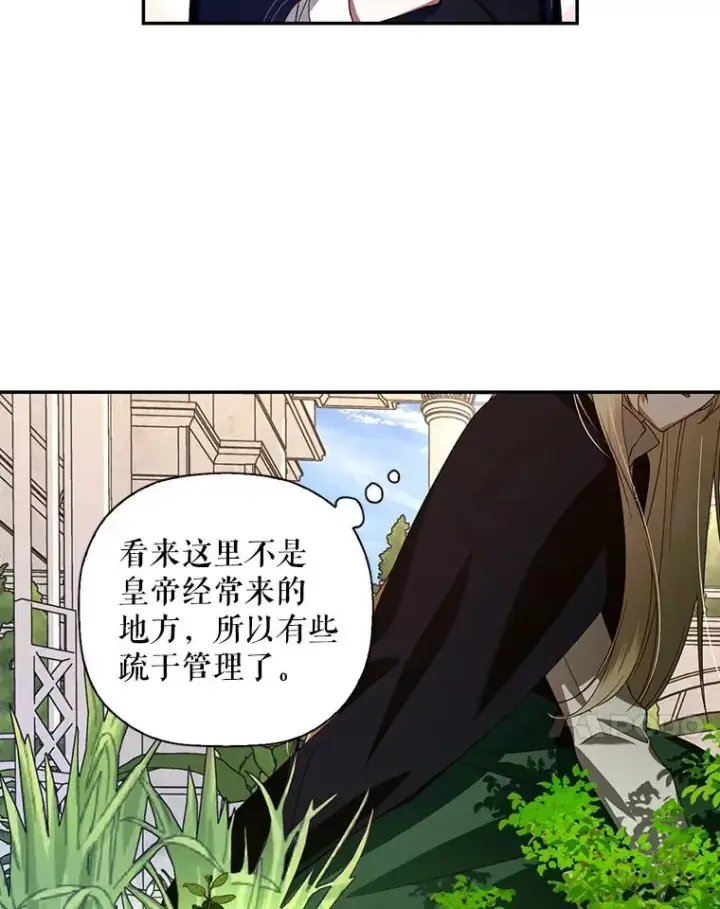 漫画《如何隐藏皇帝的孩子》6.闲言碎语第41张图
