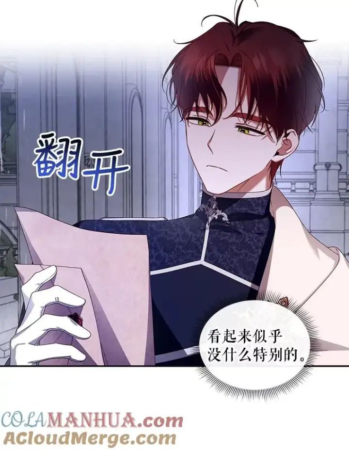 漫画《如何隐藏皇帝的孩子》11.幕后主使第13张图