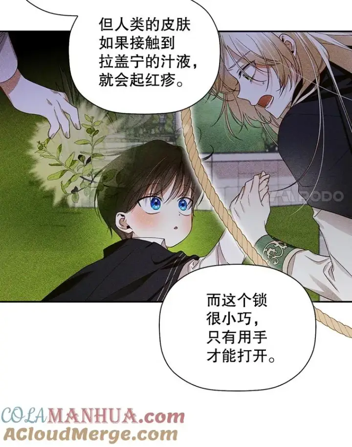 漫画《如何隐藏皇帝的孩子》11.幕后主使第61张图
