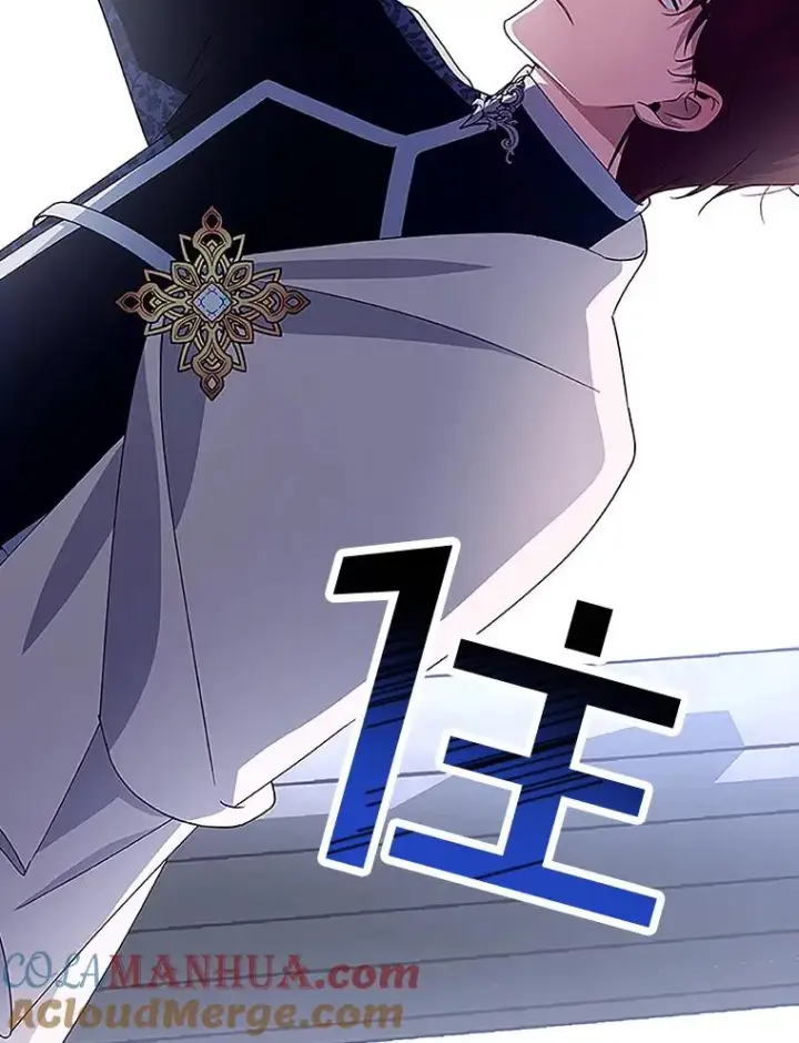 漫画《如何隐藏皇帝的孩子》12.指控与反指控第85张图