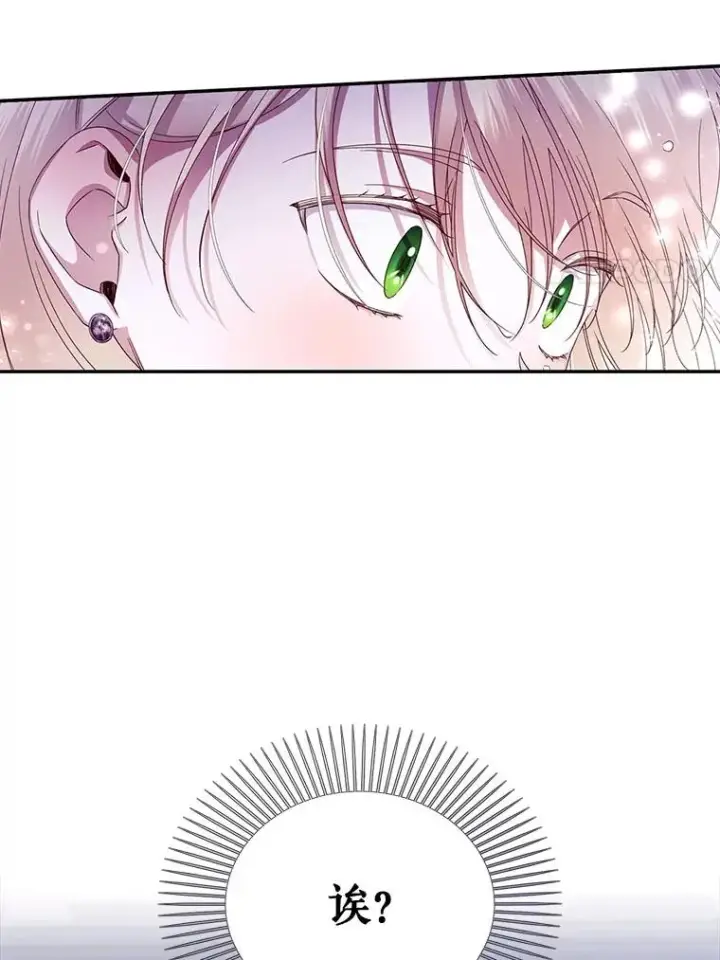 漫画《如何隐藏皇帝的孩子》17.心生疑惑第11张图